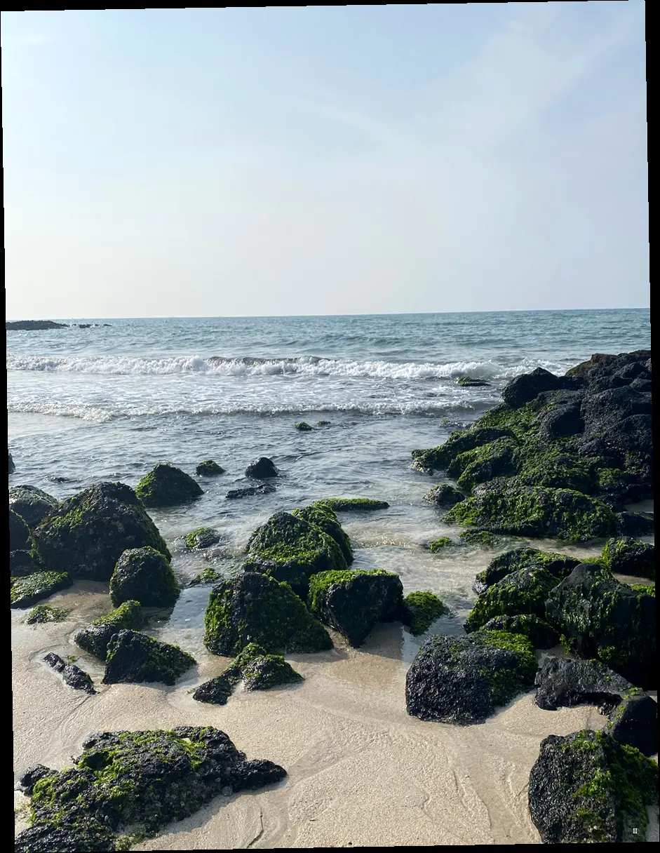 '사월의 꿩' 핵심 정보 요약 (표로 한눈에 보기!)