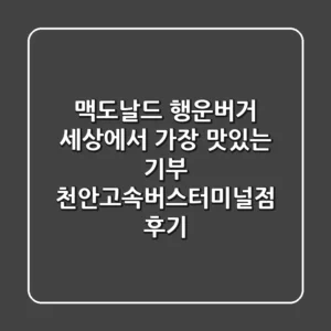 맥도날드 행운버거 세상에서 가장 맛있는 기부 천안고속버스터미널점 후기