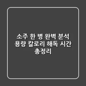 소주 한 병 완벽 분석 용량 칼로리 해독 시간 총정리