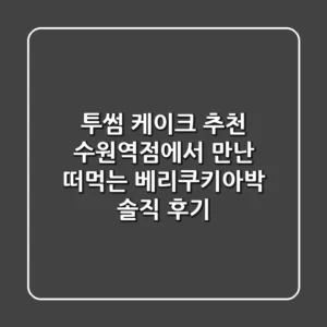 투썸 케이크 추천 수원역점에서 만난 떠먹는 베리쿠키아박 솔직 후기
