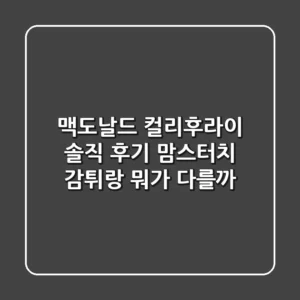 맥도날드 컬리후라이 솔직 후기: 맘스터치 감튀랑 뭐가 다를까?