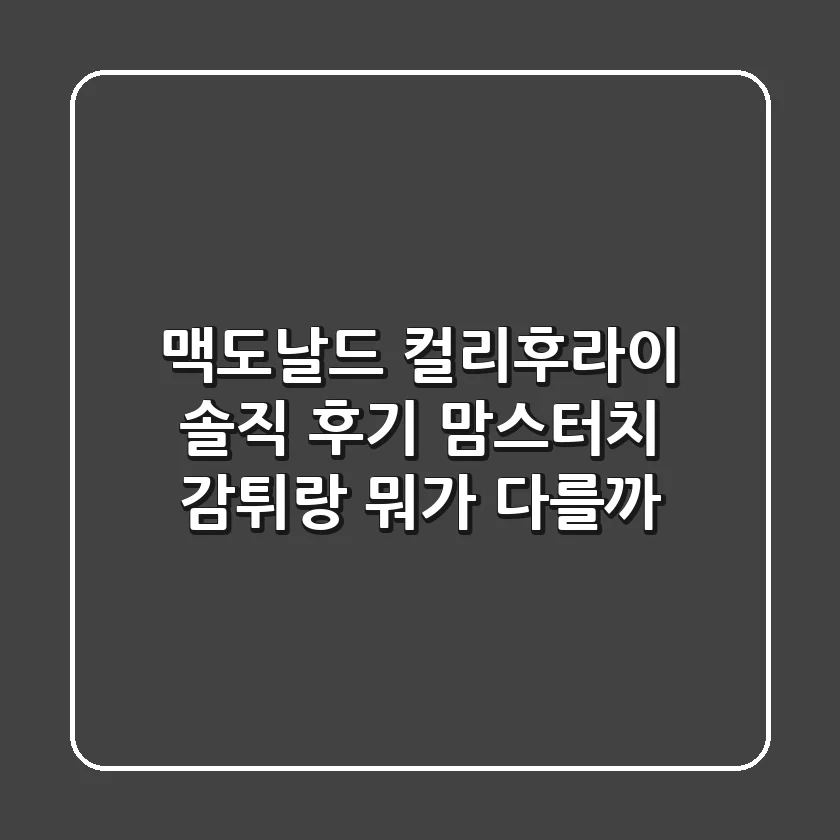 맥도날드 컬리후라이 솔직 후기: 맘스터치 감튀랑 뭐가 다를까?