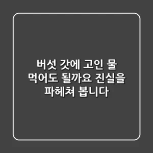 버섯 갓에 고인 물, 먹어도 될까요? 진실을 파헤쳐 봅니다!