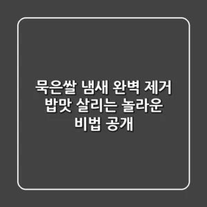묵은쌀 냄새 완벽 제거! 밥맛 살리는 놀라운 비법 공개