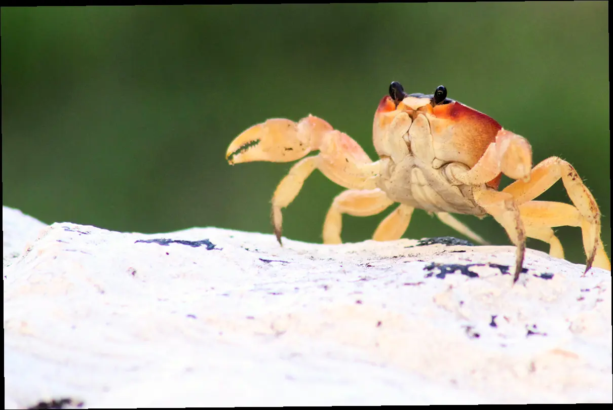 바다마실, 어디에 있나요? (위치정보 완벽 정리!)