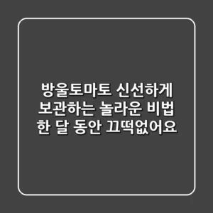 방울토마토 신선하게 보관하는 놀라운 비법, 한 달 동안 끄떡없어요!