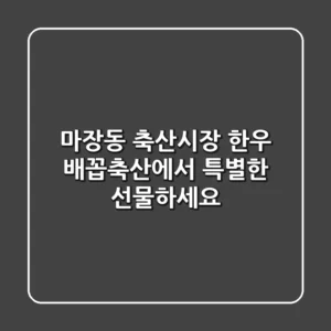 마장동 축산시장 한우, 배꼽축산에서 특별한 선물하세요!