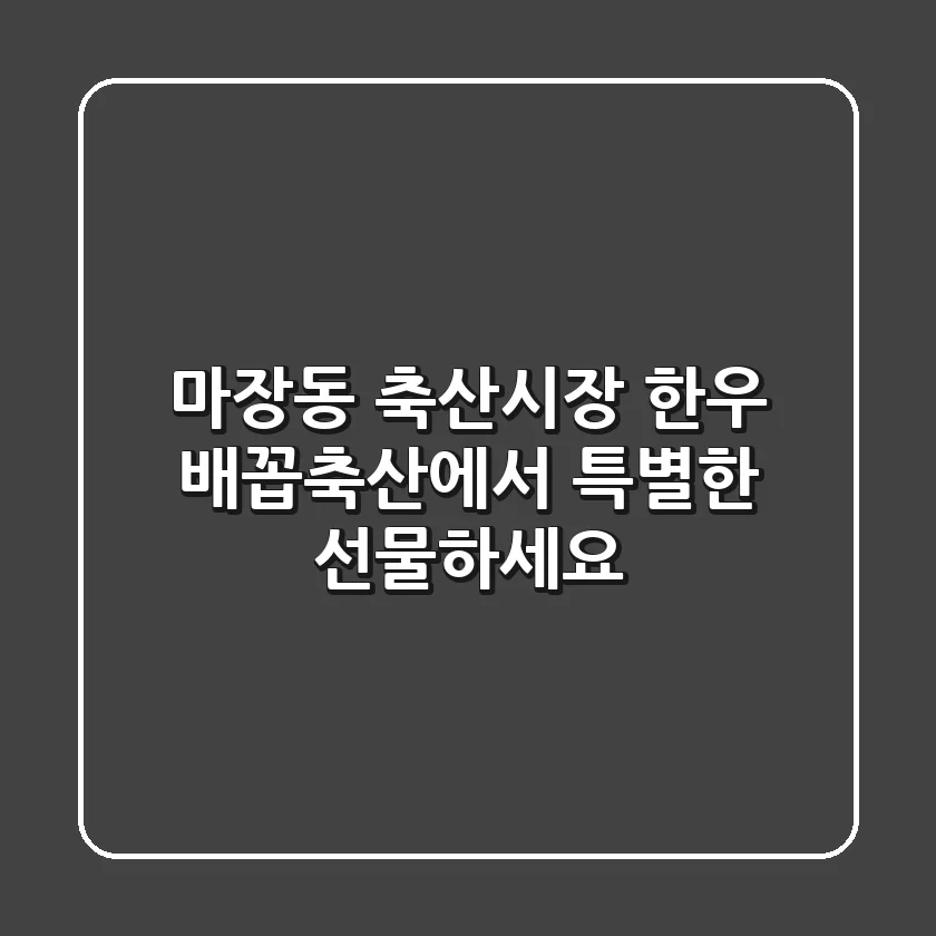 마장동 축산시장 한우, 배꼽축산에서 특별한 선물하세요!