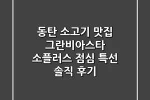 동탄 소고기 맛집: 그란비아스타 소플러스 점심 특선 솔직 후기