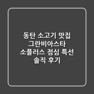 동탄 소고기 맛집: 그란비아스타 소플러스 점심 특선 솔직 후기