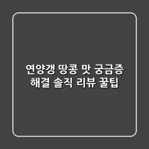 연양갱 땅콩 맛, 궁금증 해결! 솔직 리뷰 & 꿀팁