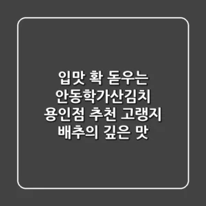 입맛 확 돋우는 안동학가산김치 용인점 추천! 고랭지 배추의 깊은 맛