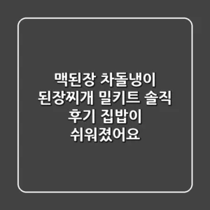 맥된장 차돌냉이 된장찌개 밀키트 솔직 후기: 집밥이 쉬워졌어요!