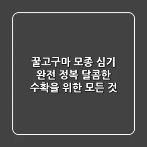 꿀고구마 모종 심기 완전 정복! 달콤한 수확을 위한 모든 것