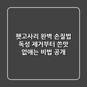 햇고사리 완벽 손질법: 독성 제거부터 쓴맛 없애는 비법 공개