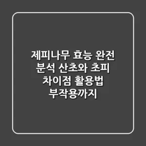 제피나무 효능 완전 분석: 산초와 초피 차이점, 활용법, 부작용까지!