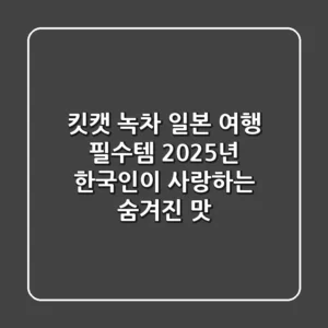 킷캣 녹차: 일본 여행 필수템? 2025년 한국인이 사랑하는 숨겨진 맛!