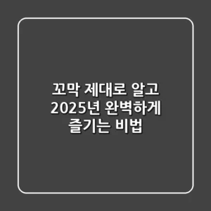 꼬막, 제대로 알고 2025년 완벽하게 즐기는 비법