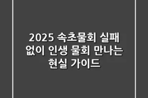 2025 속초물회, 실패 없이 ‘인생 물회’ 만나는 현실 가이드