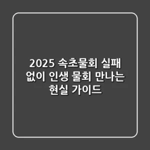 2025 속초물회, 실패 없이 '인생 물회' 만나는 현실 가이드