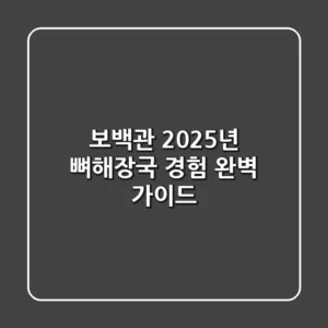 보백관, 2025년 뼈해장국 경험 완벽 가이드