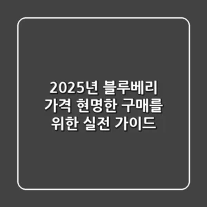 2025년 블루베리 가격: 현명한 구매를 위한 실전 가이드