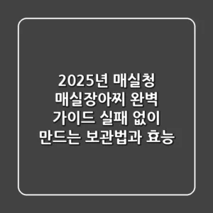2025년 매실청 매실장아찌 완벽 가이드: 실패 없이 만드는 보관법과 효능