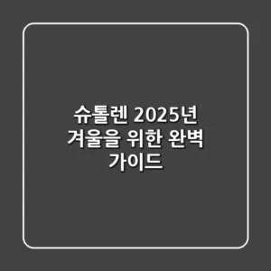 슈톨렌, 2025년 겨울을 위한 완벽 가이드