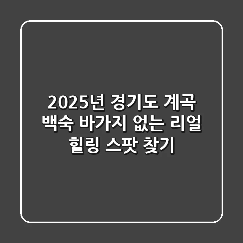 2025년 경기도 계곡 백숙, 바가지 없는 리얼 힐링 스팟 찾기