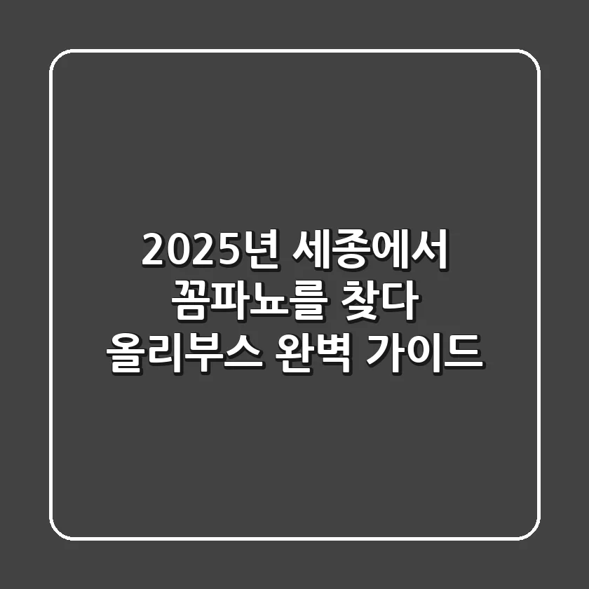 2025년, 세종에서 '꼼파뇨'를 찾다: 올리부스 완벽 가이드