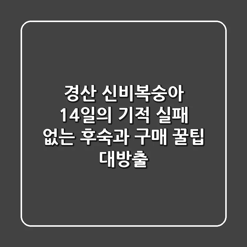 경산 신비복숭아: 14일의 기적! 실패 없는 후숙과 구매 꿀팁 대방출