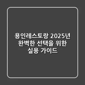 용인레스토랑, 2025년 완벽한 선택을 위한 실용 가이드