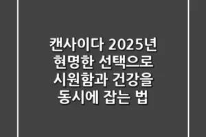 캔사이다, 2025년 현명한 선택으로 시원함과 건강을 동시에 잡는 법