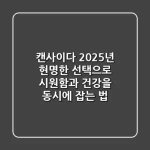 캔사이다, 2025년 현명한 선택으로 시원함과 건강을 동시에 잡는 법