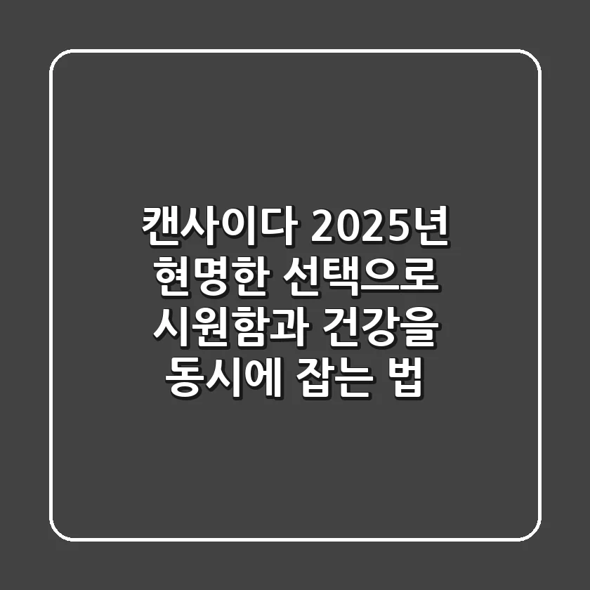 캔사이다, 2025년 현명한 선택으로 시원함과 건강을 동시에 잡는 법