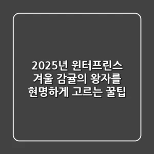 2025년 윈터프린스, 겨울 감귤의 왕자를 현명하게 고르는 꿀팁!