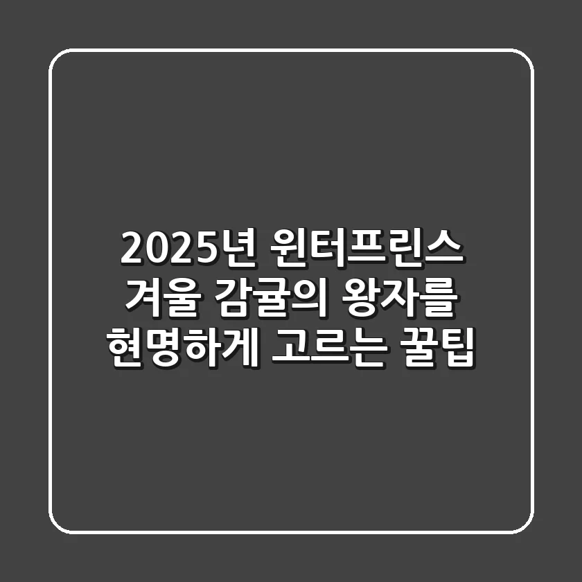 2025년 윈터프린스, 겨울 감귤의 왕자를 현명하게 고르는 꿀팁!