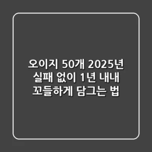 오이지 50개, 2025년 실패 없이 1년 내내 꼬들하게 담그는 법