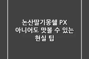 논산딸기몽쉘, PX 아니어도 맛볼 수 있는 현실 팁!