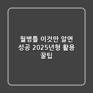 월병틀, 이것만 알면 성공! 2025년형 활용 꿀팁