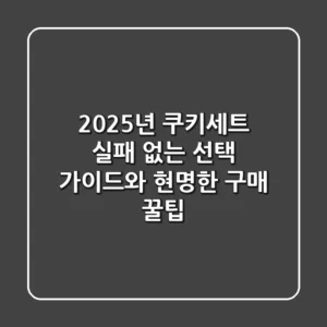 2025년 쿠키세트, 실패 없는 선택 가이드와 현명한 구매 꿀팁