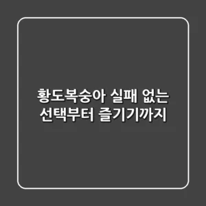 황도복숭아, 실패 없는 선택부터 즐기기까지