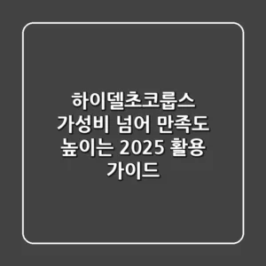 하이델초코룹스: 가성비 넘어 '만족도' 높이는 2025 활용 가이드