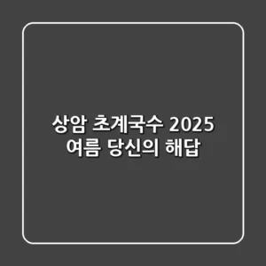 상암 초계국수, 2025 여름 당신의 해답