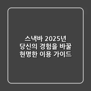 스낵바, 2025년 당신의 경험을 바꿀 현명한 이용 가이드