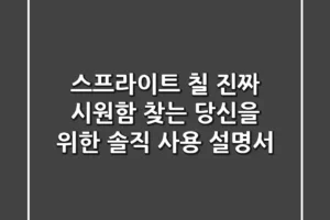 스프라이트 칠: “진짜 시원함” 찾는 당신을 위한 솔직 사용 설명서