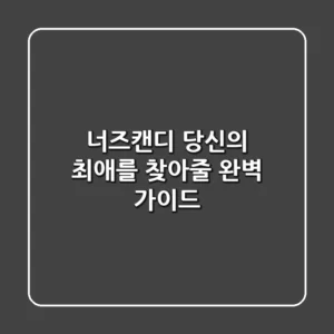 너즈캔디, 당신의 '최애'를 찾아줄 완벽 가이드
