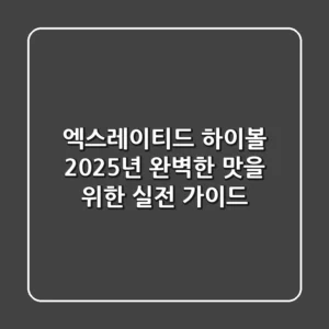 엑스레이티드 하이볼: 2025년 완벽한 맛을 위한 실전 가이드
