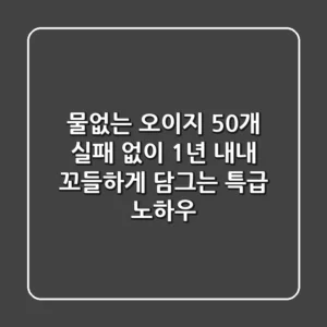 물없는 오이지 50개, 실패 없이 1년 내내 꼬들하게 담그는 특급 노하우