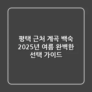 평택 근처 계곡 백숙, 2025년 여름 완벽한 선택 가이드!